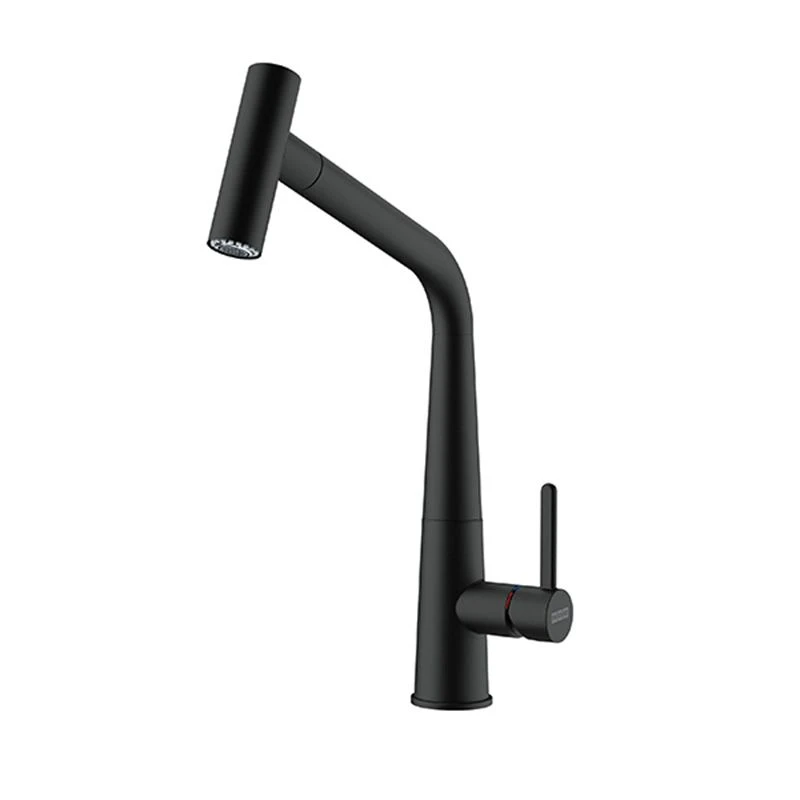 Franke Icon Pull Out Double Jet Shower Kitchen Tap - Matt Black - 115.0625.190